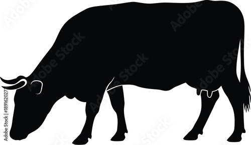 Black silhouette of a grazing cow against a white background