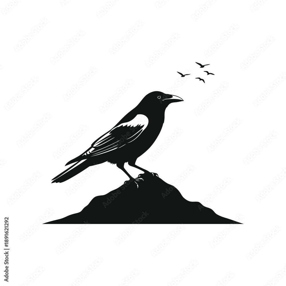 Obraz premium Crow in a hill