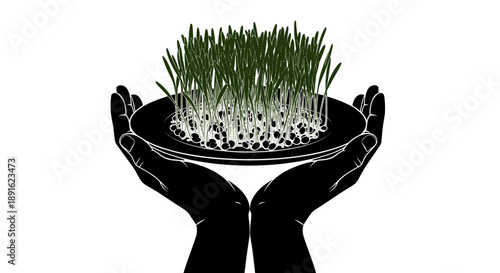Hands holding a plate of green sprouts symbolizing Novruz  