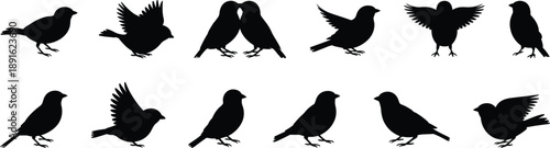 Collection of 12 black bird silhouettes in various poses and actions sparrow finch