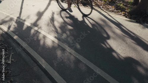 Shadow of people riding bicycles on the road under tree shade