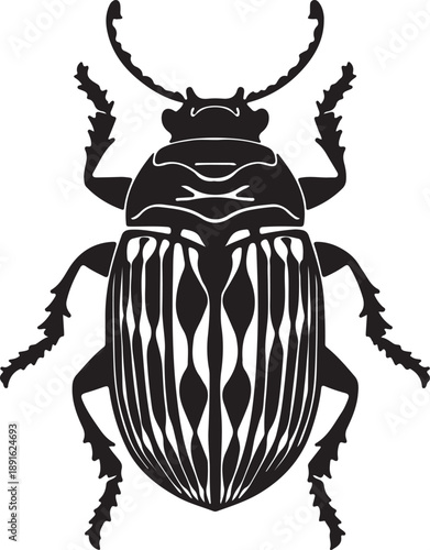 Black and white illustration of a beetle with detailed legs, antennae, and a striped body. The simple design creates a bold, symmetrical pattern.