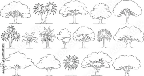 Black and white line of various trees and palms palm trees trees, palm trees, line black and white, tropical, plants, foliage, nature, landscape, simple outline trees on white background, palm trees o