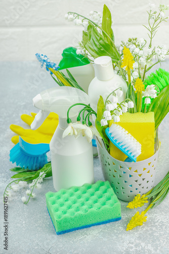 Bild auf Leinwand Spring cleaning house concept