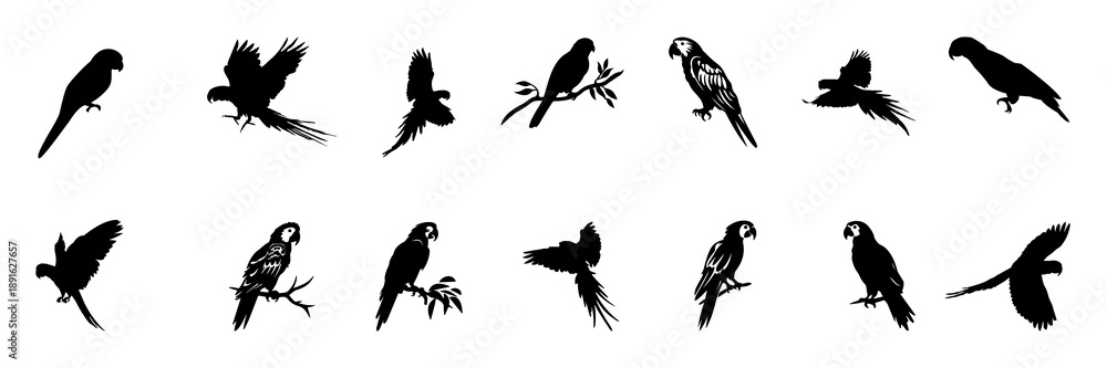 Obraz premium Parrot and Macaw Bird Silhouettes Set in Flight and Perched Positions Isolated on White Background