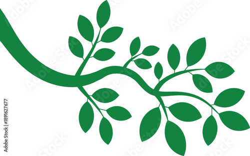 Green branch with leaves silhouette on white background tree nature