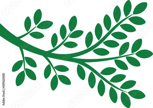 Green branch with multiple oval leaves on a white background plant