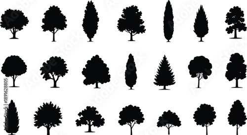 Group of black tree silhouettes with varied foliage and trunk structures nature plant