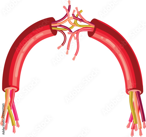 Severed Electrical Wires and Damaged Cable Connection