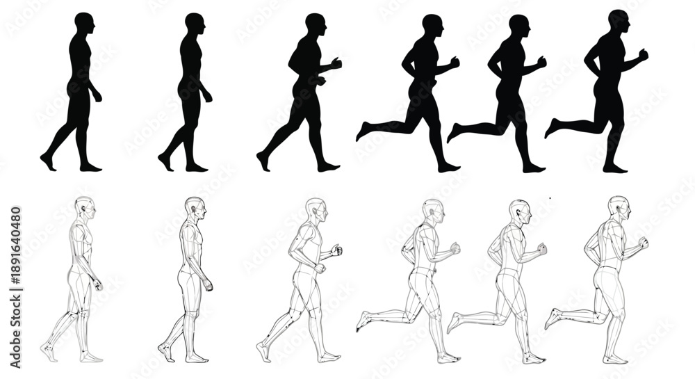Fototapeta premium Progression of human motion from steady walk to dynamic sprint illustrated in sequential black silhouettes and line art