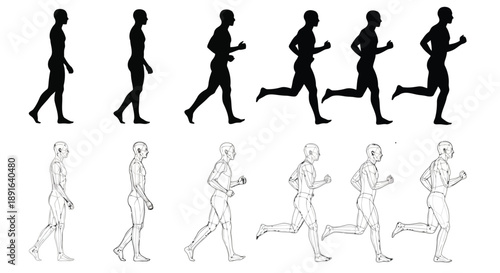 Progression of human motion from steady walk to dynamic sprint illustrated in sequential black silhouettes and line art