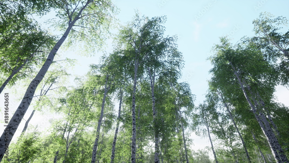 Fototapeta premium Lush green trees stretch upwards, reaching towards a clear blue sky. Sunlight dances on the leaves, creating a peaceful and refreshing atmosphere in this vibrant forest.
