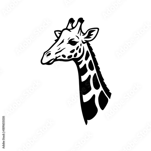 giraffe head vector illustration