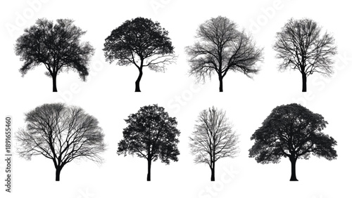 Collection of Diverse Deciduous and Bare Tree Silhouettes Isolated on White Background