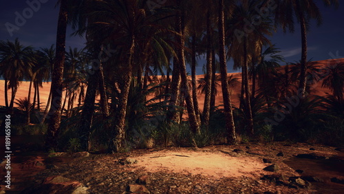 Foto A serene oasis emerges amidst tall palm trees, illuminated by soft moonlight
