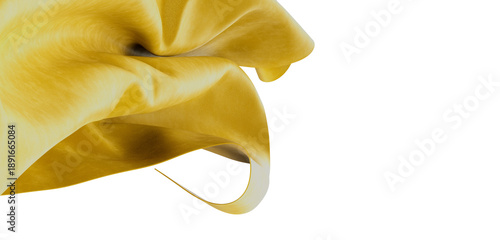 Elegant abstract compositio...