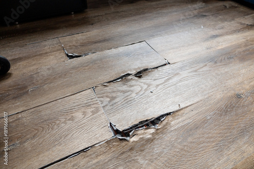 buckled laminate floor with torn planks and visible crack caused by heated floor expansion. closeup of damaged floor covering with lifted edges