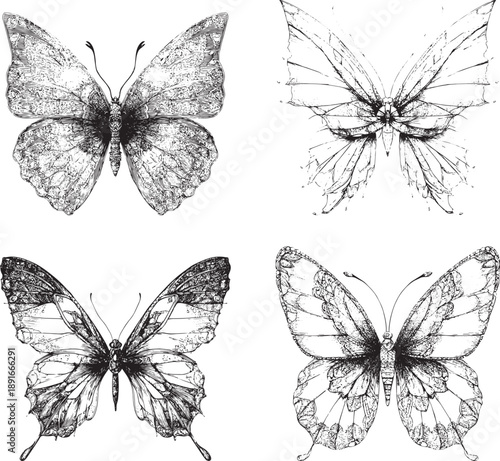 Black and white butterflies detailed line art illustration set isolated on white background minimalist design
