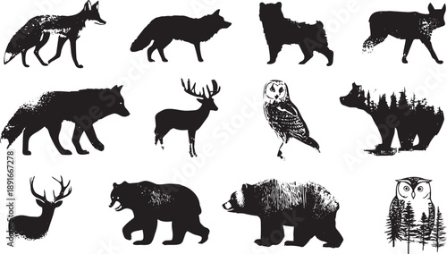 Set of 12 black and white wildlife animal silhouettes vector illustration isolated on white background for design
