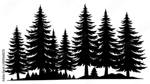 Fir trees Black Silhouette vector,Pine trees skyline silhouette