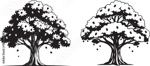 Two Black Silhouette Trees with Acorns and Leaves on White Background black and white