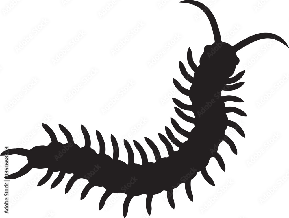 Naklejka premium Centipede Silhouette in Vector