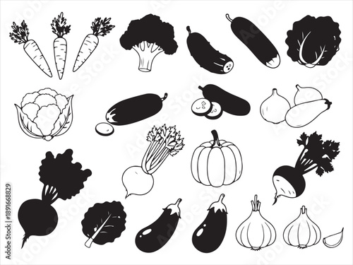 Vegetable icons set including carrots broccoli cauliflower eggplant pumpkin onion beetroot garlic  isolated on white background