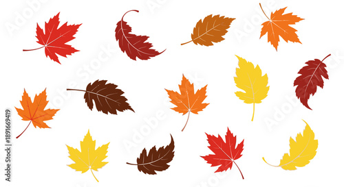 A collection of colorful autumn leaves scattered on a white background