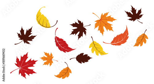 A collection of colorful autumn leaves scattered across a white background