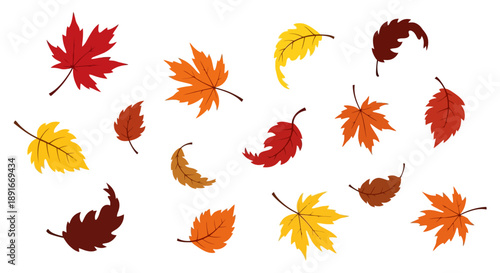 Collection of colorful autumn leaves scattered on a white background