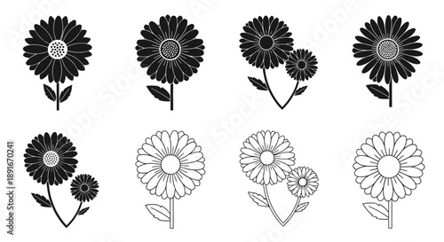 Black and white floral arrangement featuring daisy like flowers in various styles