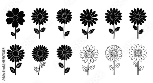 Black and white floral collection featuring daisies in various styles