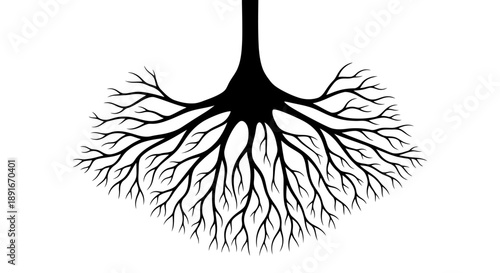 Abstract illustration of a tree root system against a white background