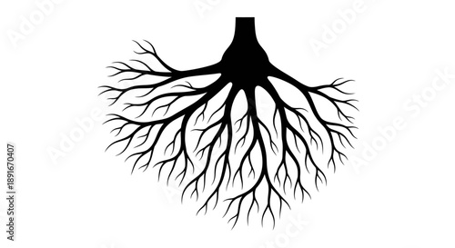 A black silhouette of a tree s root system against a white background