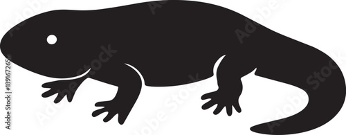 Simple black silhouette of an axolotl a mexican walking fish
