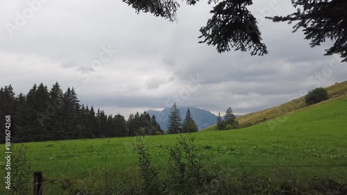 Landscape with meadow and forest in the mountains