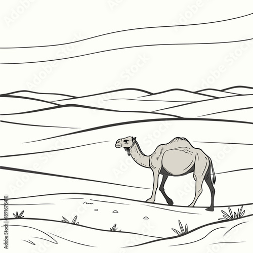 Camel walking in desert dunes