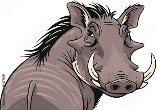 black horse isolated on white background