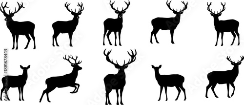 Collection of deer silhouettes in various poses