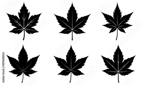 Collection of six black cannabis leaves arranged in two rows on a white background