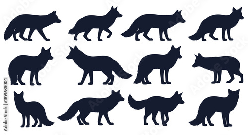 A collection of dark blue fox silhouettes in various poses against a white background.