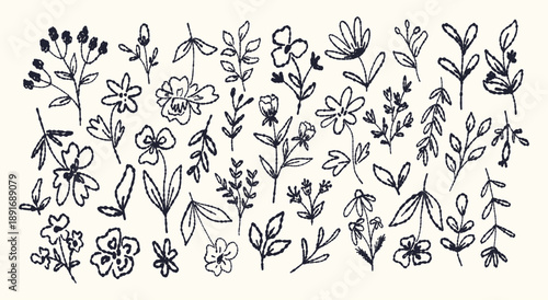 Hand draw ink trendy floral illustration,Botanical line art.