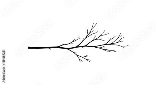 A delicate bare tree branch with fine twigs extends horizontally against a white background.