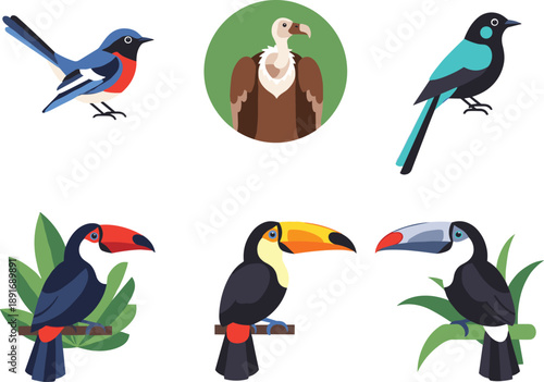 Diverse Tropical Bird Collection Featuring Toucan Vulture and Songbirds Flat Vector Illustration SetDiverse Tropical Bird Collection Featuring Toucan Vulture and Songbirds Flat Vector Illustration Set