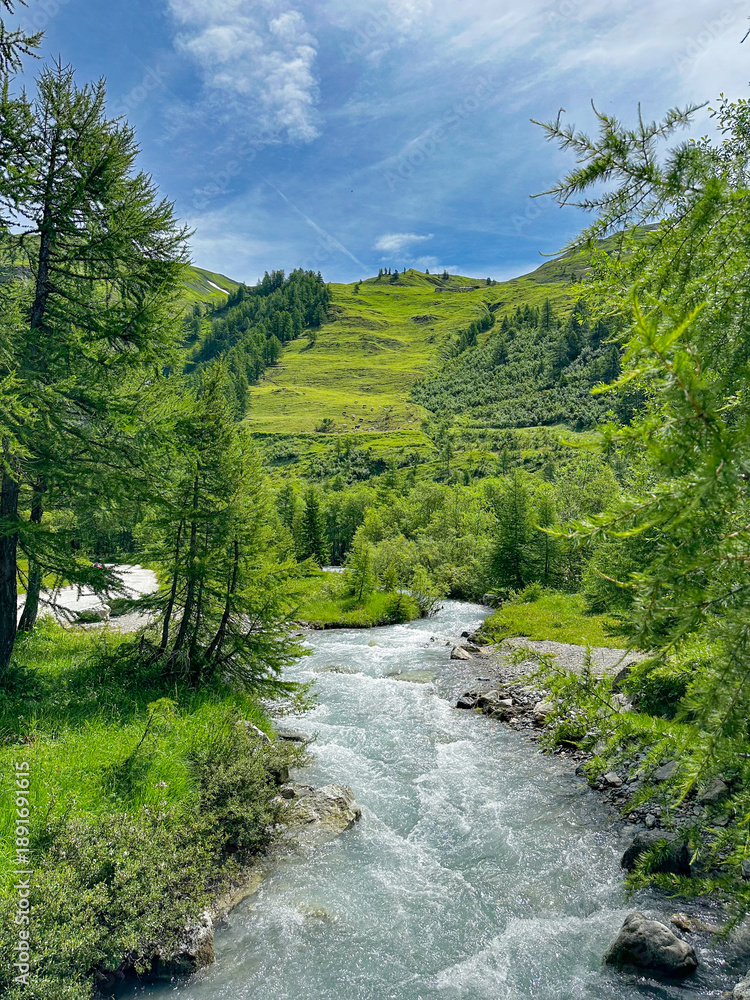 Fototapeta premium river in the mountains of Italy at Val ferret 