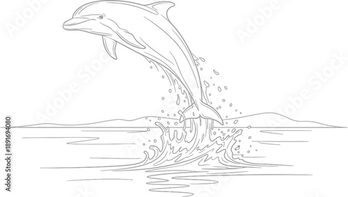 Adobe Illustrator Artwork