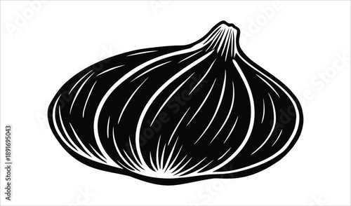 Vector illustration of fresh organic red onion and garlic bulbs isolated on white with ripe purple slices and raw vegetable halves for healthy food ingredients