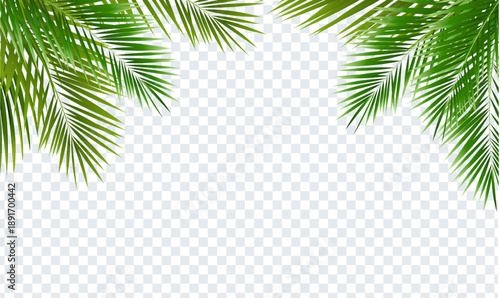 Eco Frame And Green Palm Tree Leaves