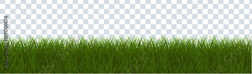 Grass Border White With Transparent Background