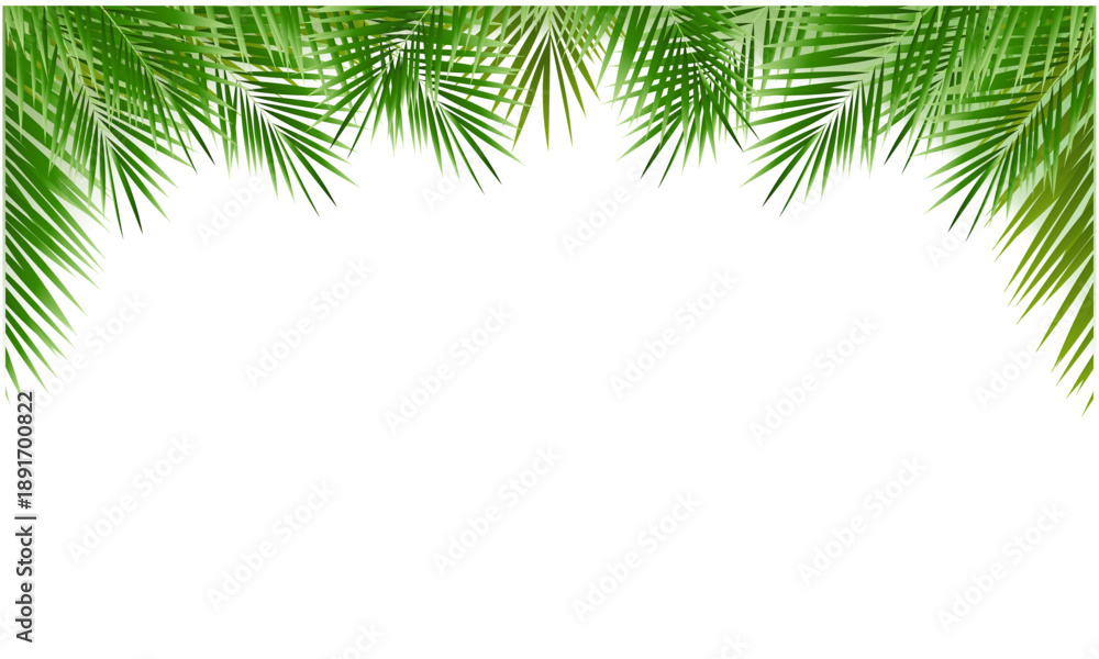 Fototapeta premium palm tree frame